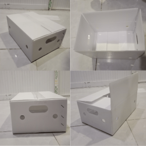 Thùng nhựa đựng nông sản